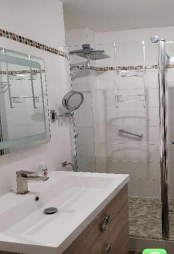 une salle de bain avec un lavabo, un miroir et une douche dans l'établissement Centre Cannes Petit Juas, à Cannes