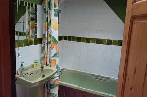 ein Badezimmer mit Waschbecken und Badewanne in der Unterkunft Inviting 2-Bed Cottage in Newcastle Emlyn in Newcastle Emlyn