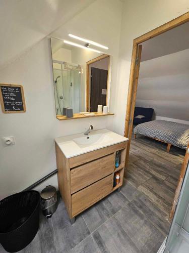 a bathroom with a sink and a mirror and a bed at Studios du Cèdre in Cuvilly