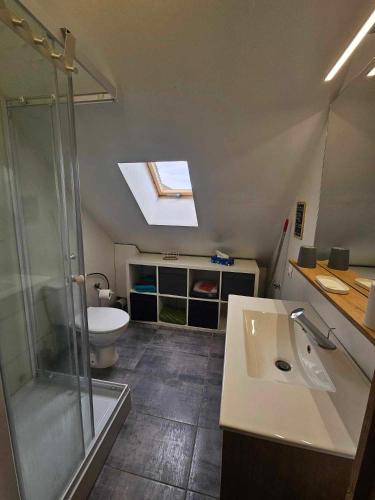 a bathroom with a shower and a sink and a toilet at Studios du Cèdre in Cuvilly