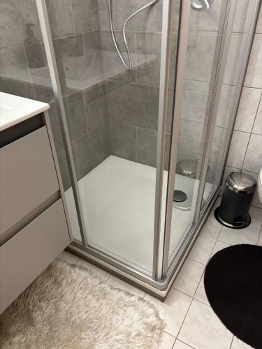 a shower with a glass door in a bathroom at Waldkristall in Überlingen