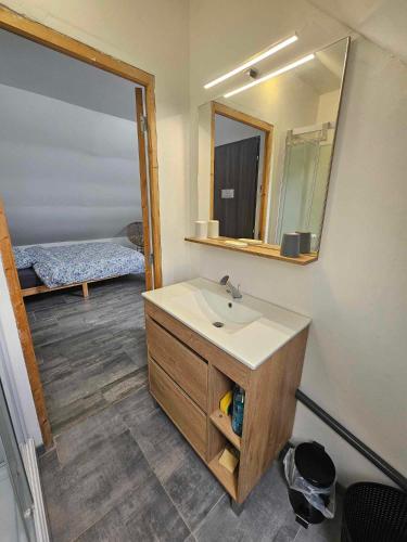 a bathroom with a sink and a mirror at Studios du Cèdre in Cuvilly