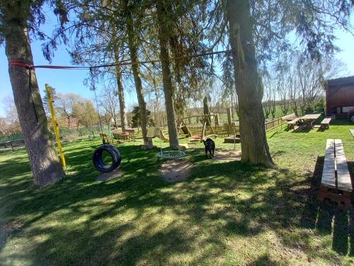 Un perro parado junto a un parque con árboles. en U Dobroty, en Nový Dŭm