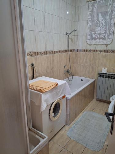 a bathroom with a washing machine and a tub at Edo Apartman 1 in Senj