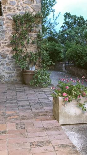a stone walkway with pots of flowers next to a building at GiuMa Tuscany Historic Country House with Patio near Saturnia Spa in Montemerano