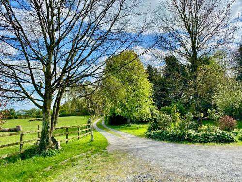 a country road with a fence and a tree at Deerpark Stables in Highstreet