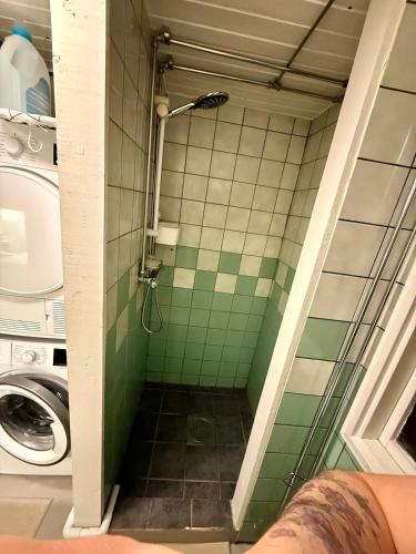 a shower in a bathroom with green tile at Gamla Binkagården in Berghem