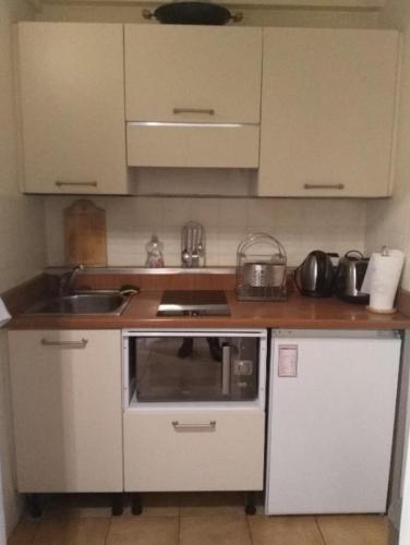 une petite cuisine avec un évier et un micro-ondes dans l'établissement Centre Cannes Rouaze, à Cannes