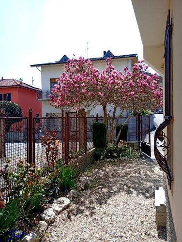 a fence with a tree with pink flowers at I Mosaici Guesthouse Luxury Apartment in Ronco Scrivia