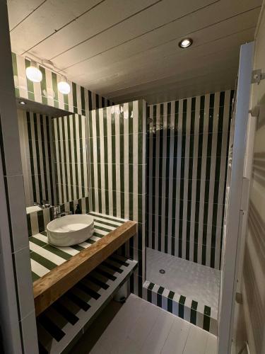 une salle de bain avec un lavabo et une douche dans l'établissement Maison de charme 3 chambres Ile de Ré, la Couarde, à La Couarde-sur-Mer