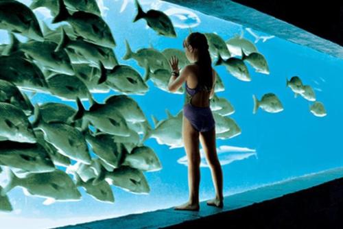 a woman standing in front of a fish tank at Beautiful resort 1BD condo with amazing resort amenities pool, kiddie pool, and more in Nassau