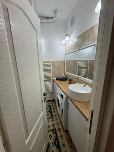 a bathroom with a sink and a washing machine at LaWanda Studio in Petroşani