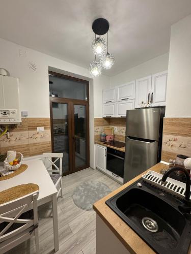 a kitchen with a refrigerator and a table with a sink at LaWanda Studio in Petroşani