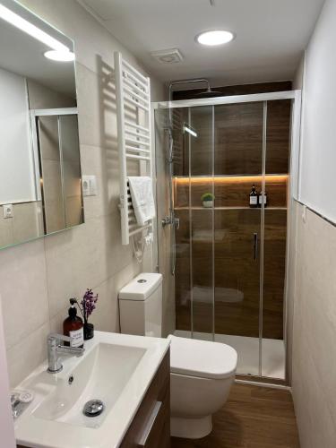 a bathroom with a shower and a toilet and a sink at Retiro Home in Madrid