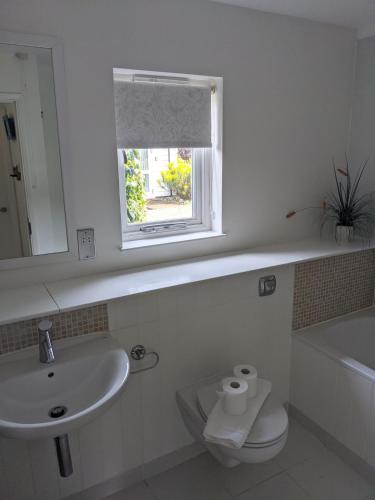a bathroom with a sink and a toilet and a window at Saltbox B4 holiday cottage in Freshwater