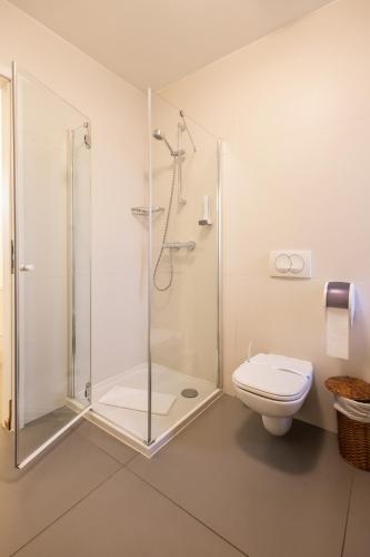 a bathroom with a shower and a toilet at Vadkert Major in Sárvár