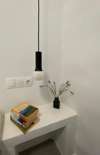 Biblioteca en el apartamento