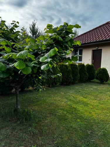 Domek Machowino w Dolinie nad Stawem