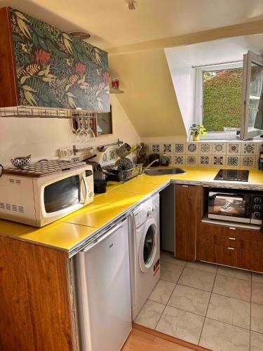 La cuisine est équipée d'un four micro-ondes et d'un lave-vaisselle. dans l'établissement Magical studio, good vibes, à Enghien-les-Bains