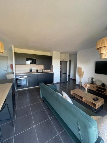 un salon avec un canapé et une table dans l'établissement Appartement vue vigne, à Perpignan