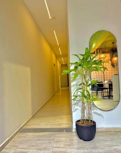a plant in a pot in a hallway with a mirror at São Hostel in São Roque
