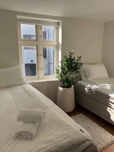 Una habitación blanca con una cama y una ventana en A Place To Stay Stavanger, apartment 5 - Decorated for Christmas, en Stavanger
