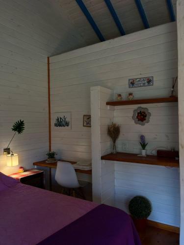 a bedroom with a bed and a desk and a shelf at Itaca delta cabañas in Tigre