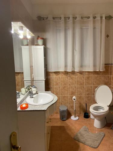 ein Badezimmer mit Waschbecken, Toilette und Spiegel in der Unterkunft Une maison entière de 4-5 pers avec piscine in Le Pizou