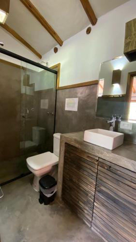 a bathroom with a toilet and a sink and a shower at Pousada Verde Serena SFX in São Francisco Xavier