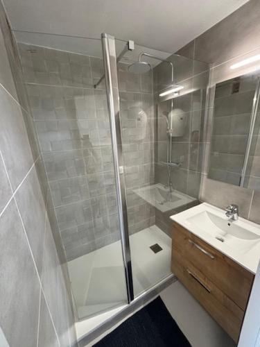 une salle de bain avec douche et lavabo dans l'établissement Studio Cabine Gruissan, à Gruissan
