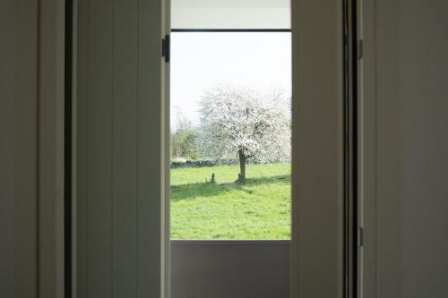 a window with a view of a tree in a field at La Rocca Terrazza in Darfo