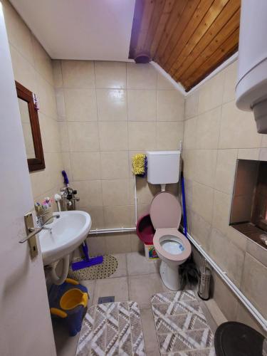 a bathroom with a toilet and a sink at Smestaj Bojanine Vode in Niš