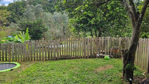 a wooden fence with a green ball in the yard at Cozy Apartment 5min from Downtown in Los Naranjos