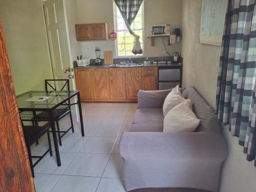 a living room with a couch and a table at BLR Villas Dover Beach in Christ Church