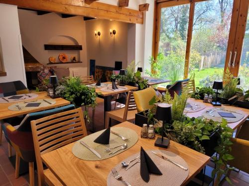 a dining room with wooden tables and plants at Landhaus am Kurpark in Baden