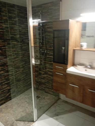 une salle de bain avec douche et lavabo dans l'établissement Au rocher de Pascal lit mezzanine, à Montalivet-les-Bains