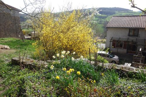 un jardin fleuri devant une maison dans l'établissement Les jardins de Montaland, à Sainte-Catherine-sur-Riverie