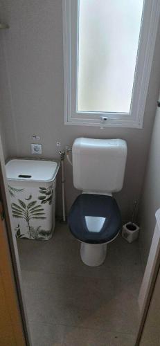 La salle de bains est pourvue de toilettes avec un siège bleu et une fenêtre. dans l'établissement Résidence Camping Les Dunes, au Grau-dʼAgde