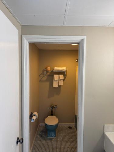 a bathroom with a toilet and a sink at Town & Country Motel in Clinton