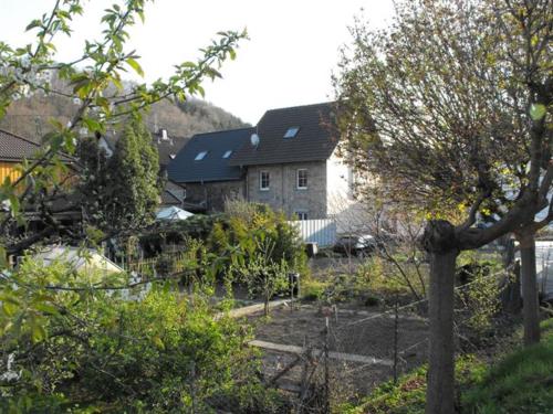 a yard with a house in the background at Marcos Heuboden in Oberzissen