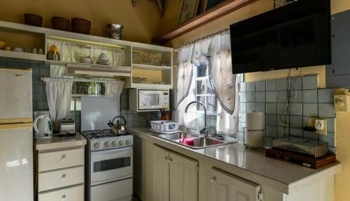 a kitchen with a counter with a stove and a sink at Titi Vacation Homes in Cobbs Cross