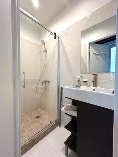 une salle de bain avec douche et lavabo dans l'établissement Large studio - heart of Paris, à Paris