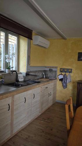 une cuisine avec un évier et un plan de travail dans l'établissement Nature en petite montagne, à Arinthod