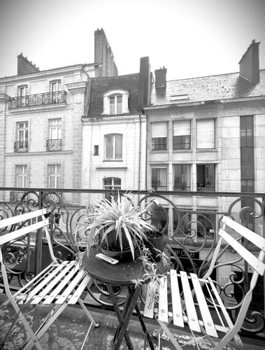 une photo en noir et blanc de deux chaises et d'une plante en pot dans l'établissement L'Illustre-Elegant appartement hypercentre-Balcon, à Nantes