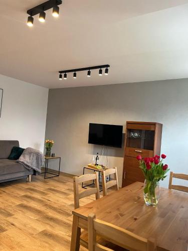 TV a/nebo společenská místnost v ubytování Apartament Dworska
