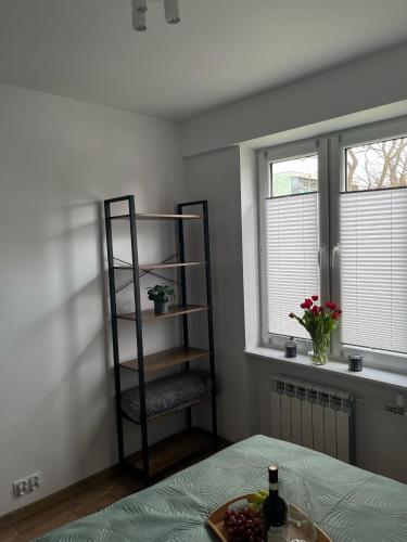 Postel nebo postele na pokoji v ubytování Apartament Dworska