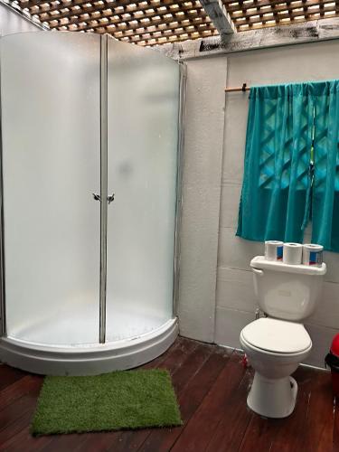 a bathroom with a shower with a toilet and a green rug at Finca Tatin Hotel in Lámpara