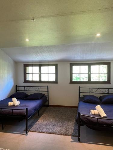 deux lits dans une chambre avec deux fenêtres dans l'établissement BY NEPTUNE - La Maison Courtenay Piscine Privée, 4 Chambres, à Courtenay