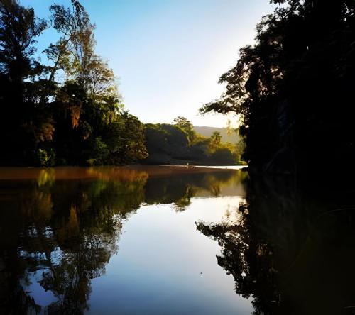 a view of a lake with trees on the shore at Bosque do Itaoca - Beira do Rio, Lago, Mata Nativa in Guararema