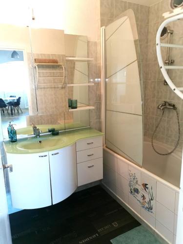 une salle de bain avec un lavabo et une douche dans l'établissement Spacious apartment bellevue, à Brest